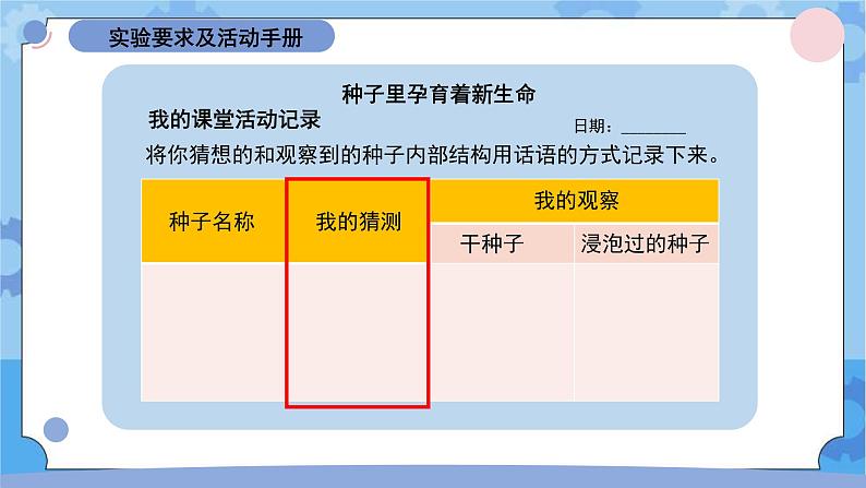 1.1《种子里孕育着新生命》(课件+素材 )-教科版(2017秋)  四年级下册科学05