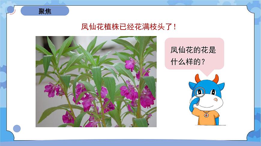 四下《鳳仙花開(kāi)花了》第2頁(yè)