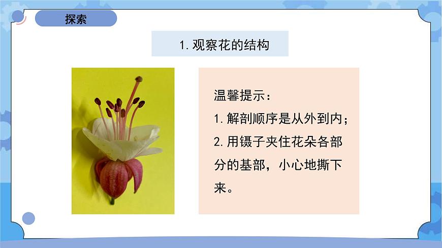 四下《鳳仙花開(kāi)花了》第4頁(yè)