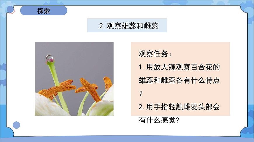 四下《鳳仙花開(kāi)花了》第7頁(yè)