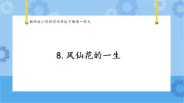 1.8凤仙花的一生课件 -教科版（2017秋）  四年级下册科学