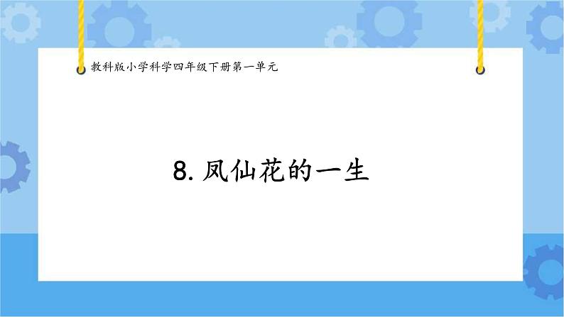 1.8凤仙花的一生课件 -教科版(2017秋) 四年级下册科学01