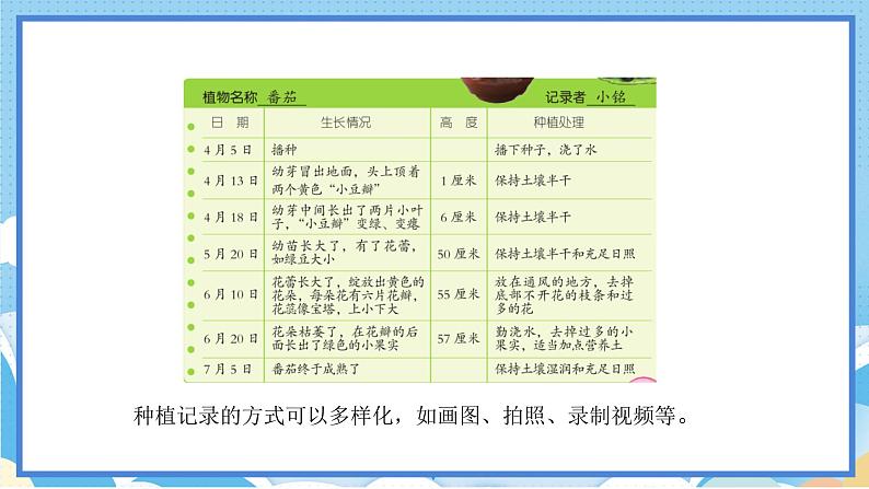 苏教版三年级下册科学 1.4 植物结果了(课件)第3页