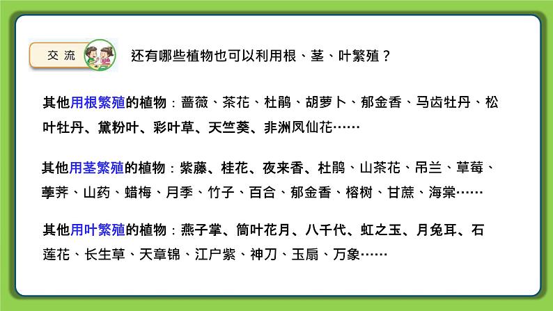 4.13 用根、茎、叶繁殖(课件)四年级下册科学 苏教版第7页