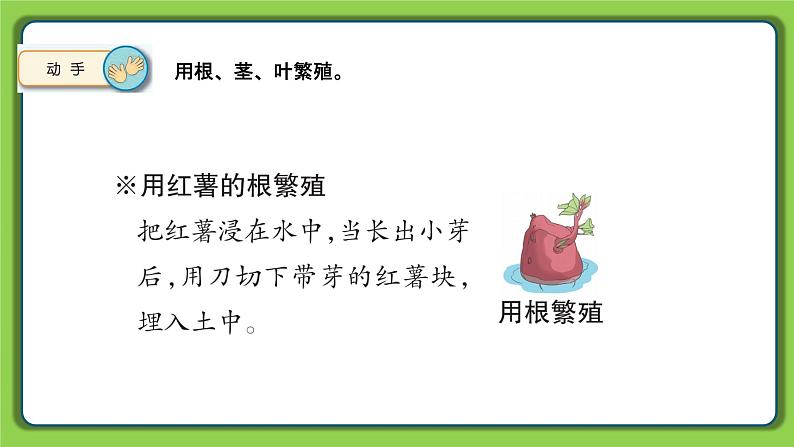 4.13 用根、茎、叶繁殖(课件)四年级下册科学 苏教版第8页