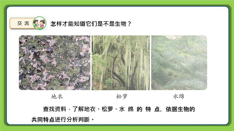 5.15 生物与非生物(课件)四年级下册科学 苏教版06