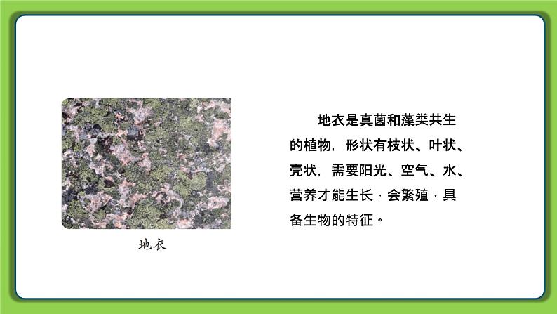 5.15 生物与非生物(课件)四年级下册科学 苏教版07