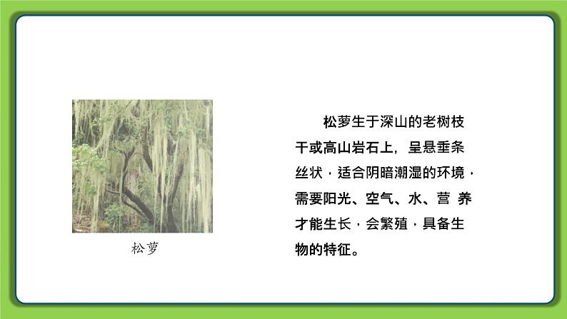 5.15 生物与非生物(课件)四年级下册科学 苏教版08