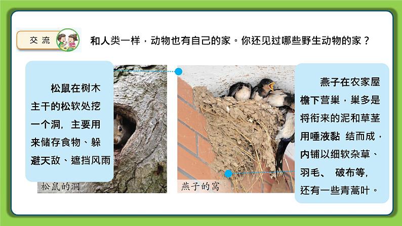 5.16 动物的庇护所(课件)四年级下册科学 苏教版03