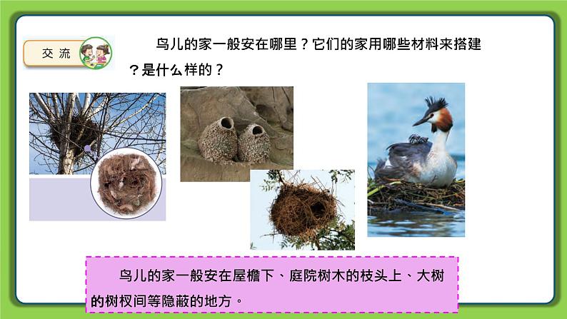 5.16 动物的庇护所(课件)四年级下册科学 苏教版08