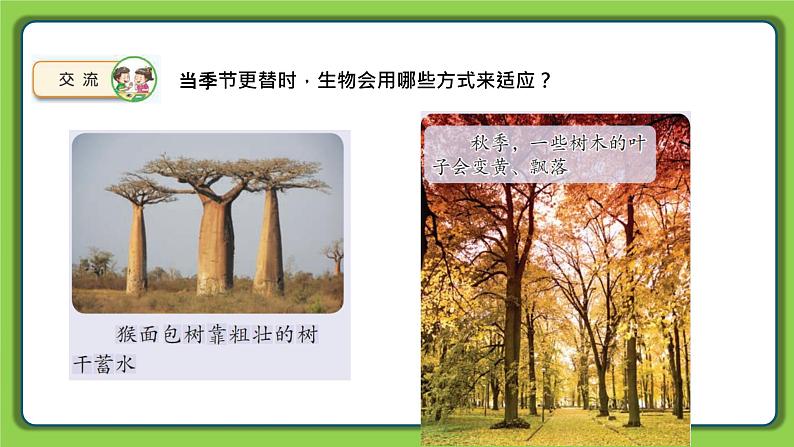 5.17 环境变化以后(课件)四年级下册科学 苏教版第5页
