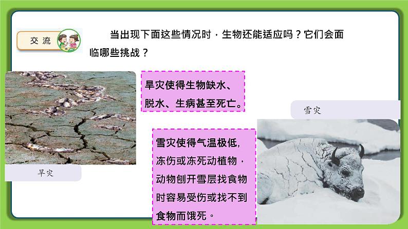 5.17 环境变化以后(课件)四年级下册科学 苏教版第7页