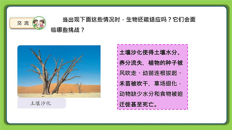 5.17 环境变化以后(课件)四年级下册科学 苏教版第8页