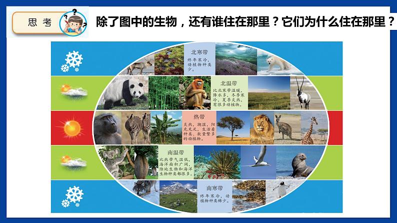 苏教版六年级下册科学 2.5 多样的栖息地(课件)第2页