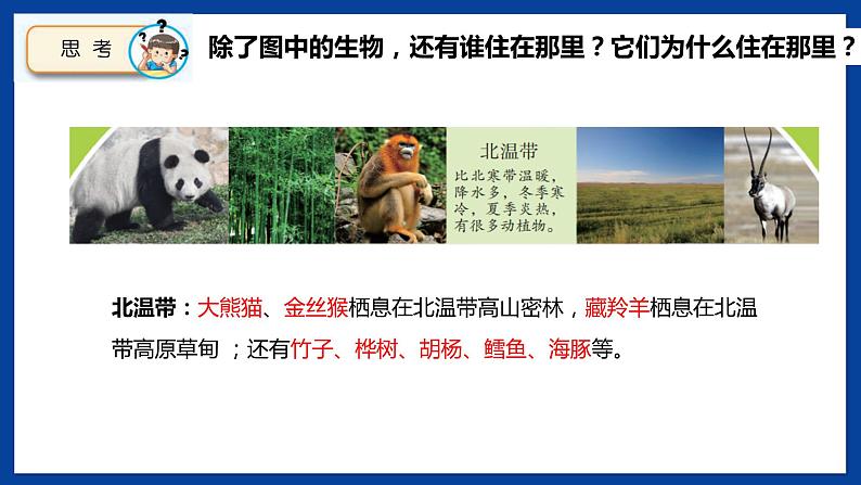 苏教版六年级下册科学 2.5 多样的栖息地(课件)第4页