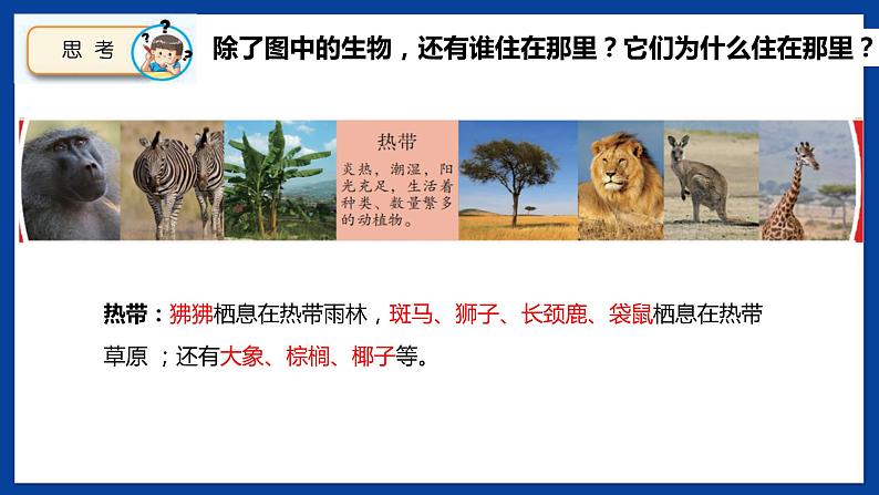 苏教版六年级下册科学 2.5 多样的栖息地(课件)第5页