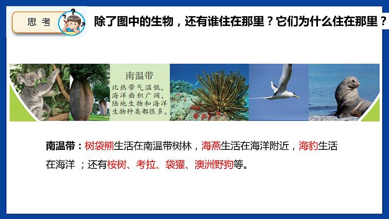 苏教版六年级下册科学 2.5 多样的栖息地(课件)第6页