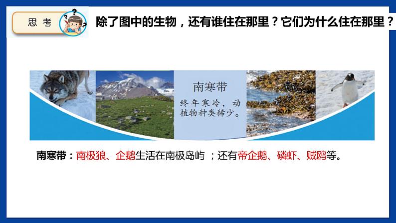 苏教版六年级下册科学 2.5 多样的栖息地(课件)第7页