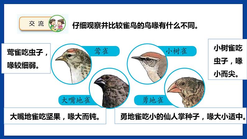苏教版六年级下册科学 4.15 多样的生物(课件)03