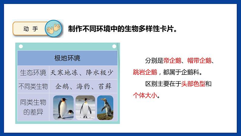 苏教版六年级下册科学 4.15 多样的生物(课件)05