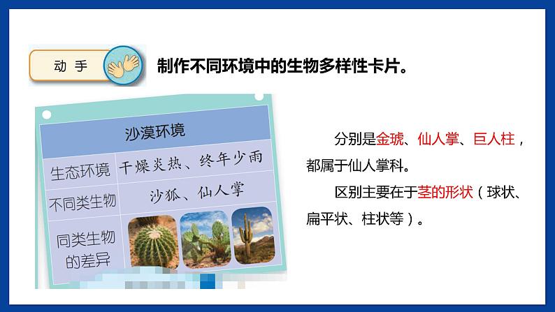 苏教版六年级下册科学 4.15 多样的生物(课件)06