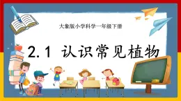 【大象版】一下科學(xué)  2.1 認(rèn)識(shí)常見(jiàn)植物（課件+教案）