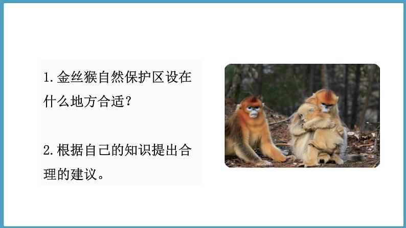 1.2 金丝猴的家(课件)六年级科学下册大象版(2017)第2页