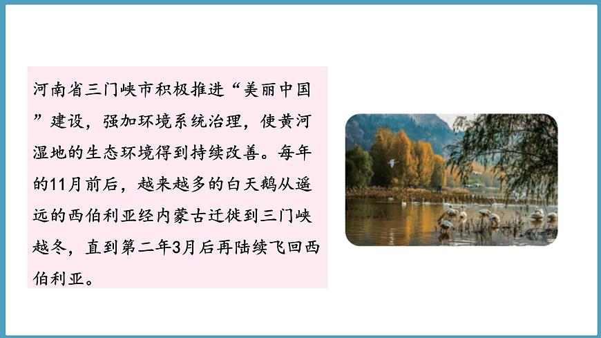 1.3  環(huán)境變化與動(dòng)物行為（課件）六年級(jí)科學(xué)下冊(cè)大象版（2017）第2頁(yè)
