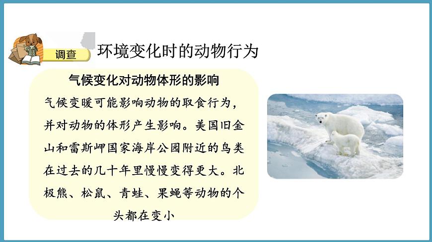 1.3  環(huán)境變化與動(dòng)物行為（課件）六年級(jí)科學(xué)下冊(cè)大象版（2017）第5頁(yè)