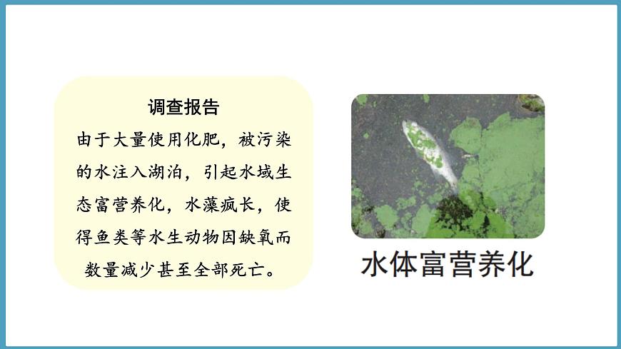 1.3  環(huán)境變化與動(dòng)物行為（課件）六年級(jí)科學(xué)下冊(cè)大象版（2017）第6頁(yè)