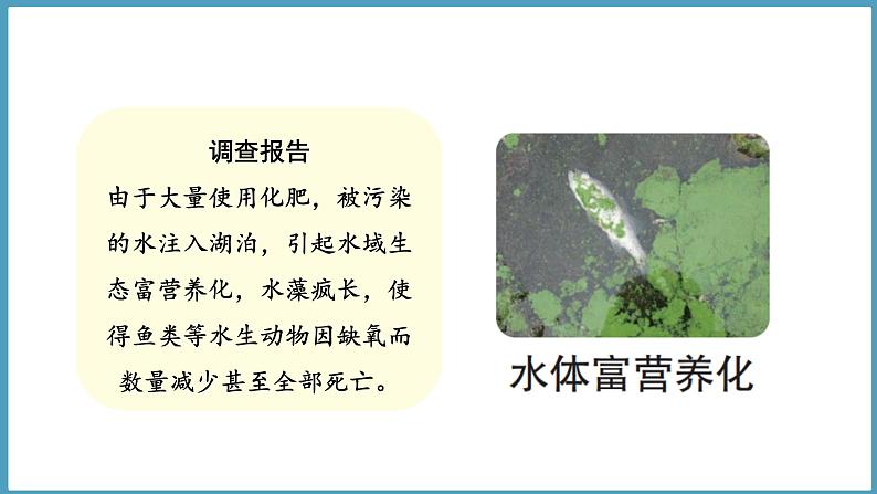 1.3 环境变化与动物行为(课件)六年级科学下册大象版(2017)06