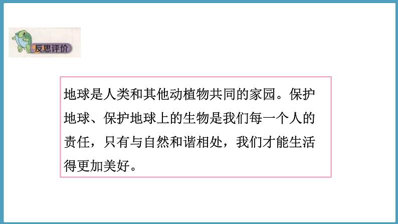 1.5 保护生物的家园(课件)六年级科学下册大象版(2017)第8页