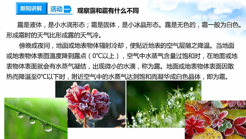 14露和霜 课件+教案+试题+素材03