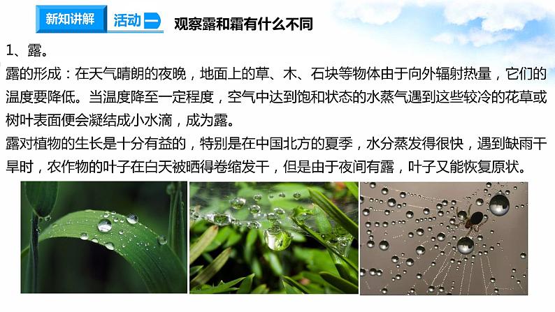 14露和霜 课件+教案+试题+素材04