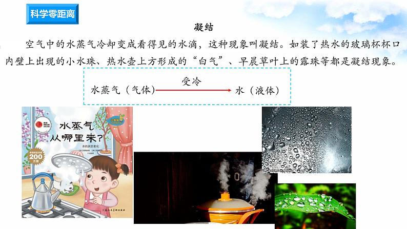 14露和霜 课件+教案+试题+素材08