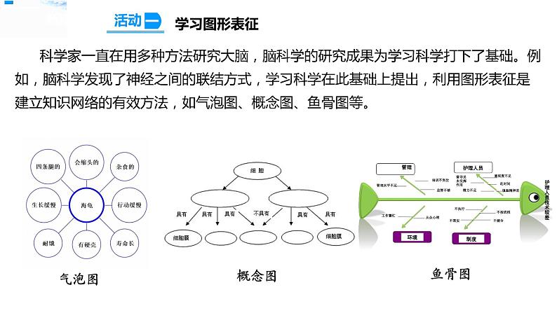 20大脑的开发与利用 课件第3页
