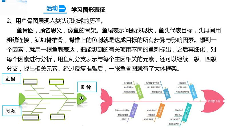 20大脑的开发与利用 课件第5页