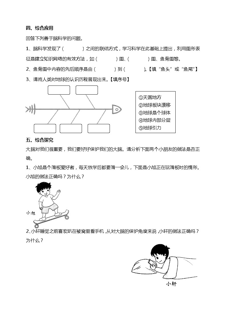 20大脑的开发与利用 试题(含答案解析)第2页