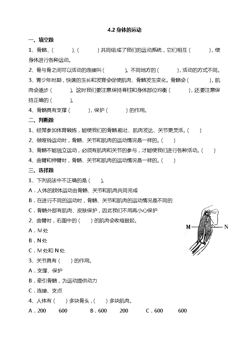 4.2身体的运动 试题(含答案解析)第1页