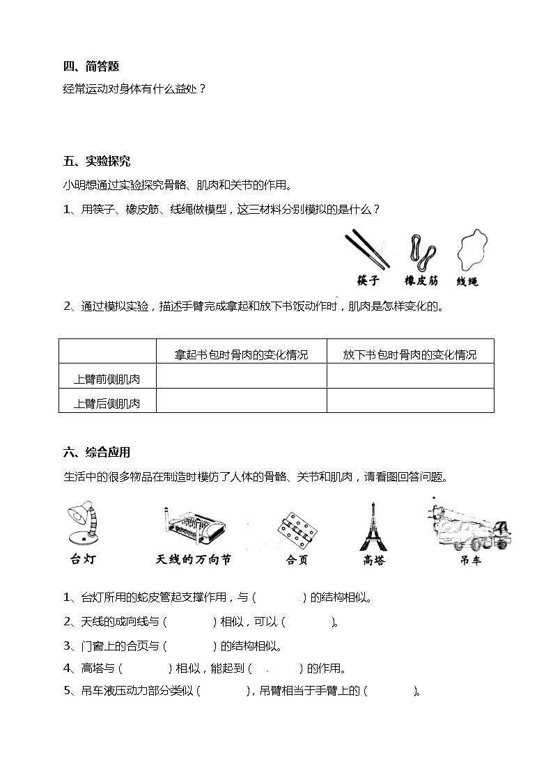 4.2身体的运动 试题(含答案解析)第2页