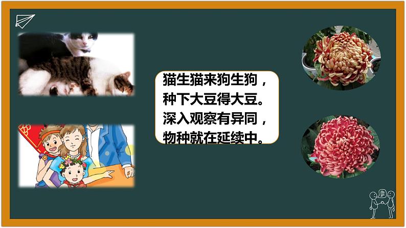 湘科版科学(2017)六年级下册1.1《人的相似与差异》课件02