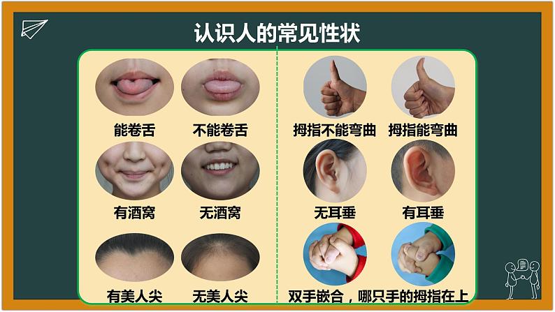 湘科版科学(2017)六年级下册1.1《人的相似与差异》课件06