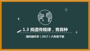 小学科学湘科版 (2017)六年级下册3 找遗传规律，育良种课文内容ppt课件