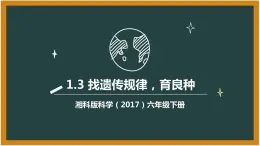 湘科版科学（2017）六年级下册1.3《找遗传规律，育良种》课件