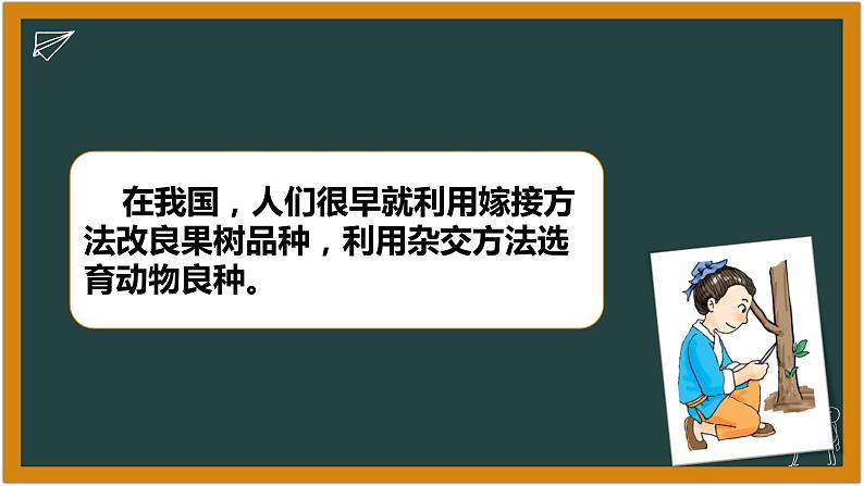 湘科版科学(2017)六年级下册1.3《找遗传规律,育良种》课件02