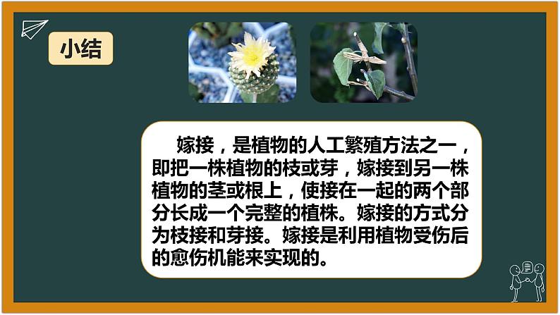 湘科版科学(2017)六年级下册1.3《找遗传规律,育良种》课件04