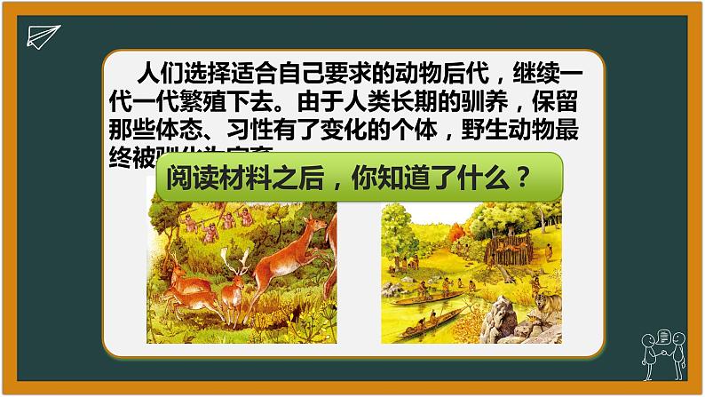 湘科版科学(2017)六年级下册1.3《找遗传规律,育良种》课件08