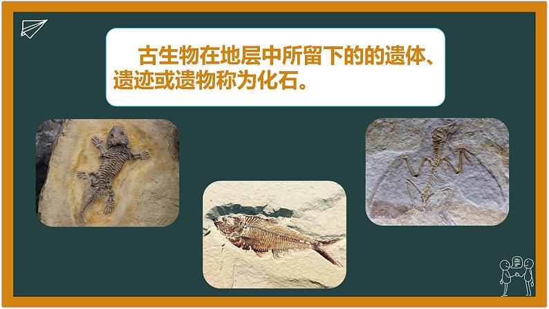 湘科版科学(2017)六年级下册2.1《化石带给我们的信息》课件第3页