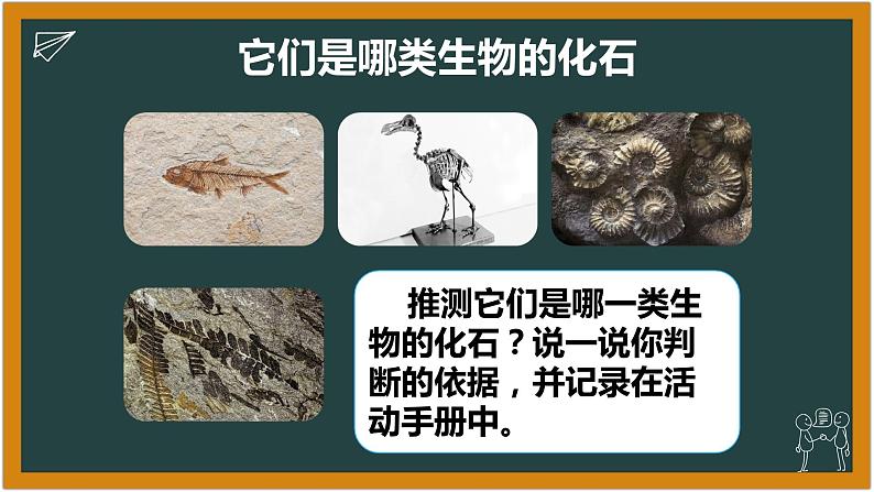 湘科版科学(2017)六年级下册2.1《化石带给我们的信息》课件第5页
