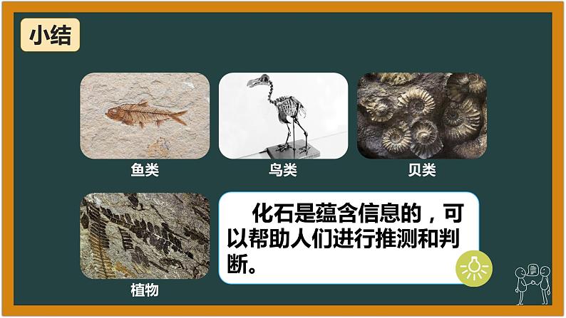 湘科版科学(2017)六年级下册2.1《化石带给我们的信息》课件第6页